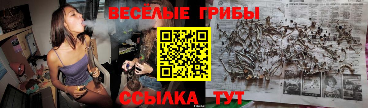 Псилоцибиновые грибы Cubensis Лабытнанги